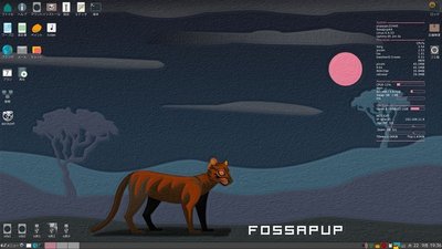 fossapup64.jpg