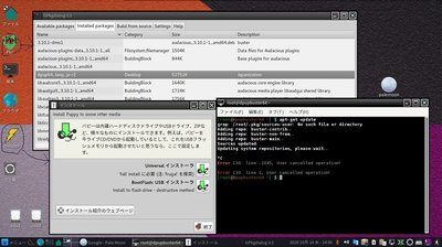 pkg-aptgetupdate.jpg